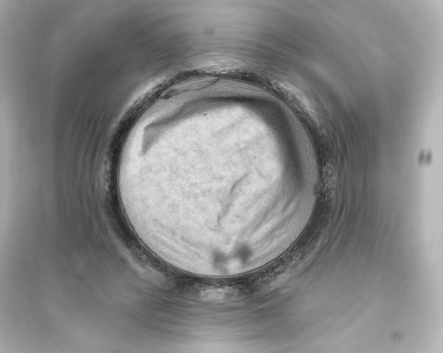 X0000093560400200711121019