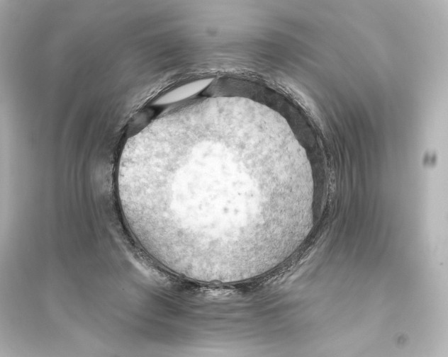 X0000093560401200711121019