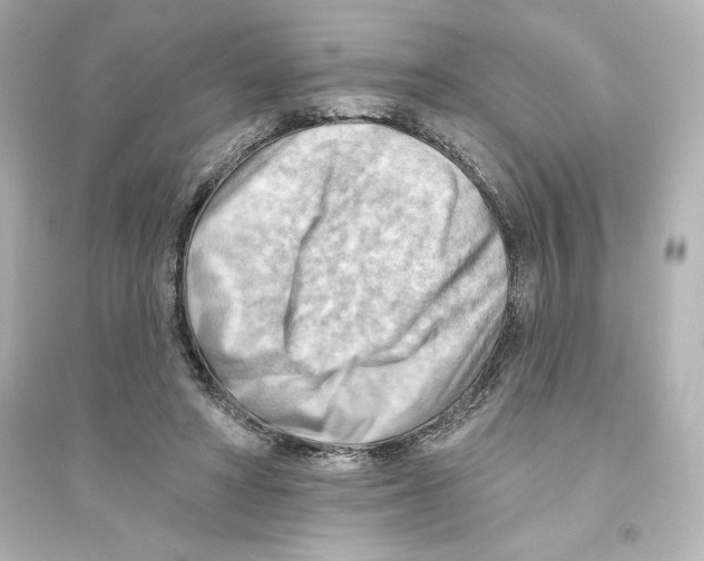 X0000093560402200711121019