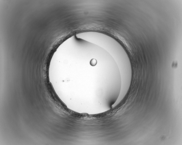 X0000093560403200711121019