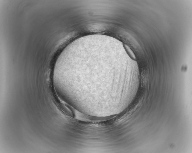X0000093560404200711121019