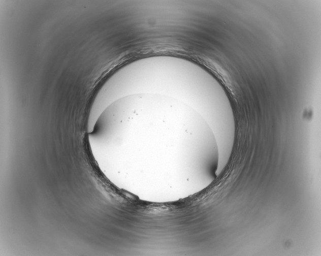 X0000093560405200711121019