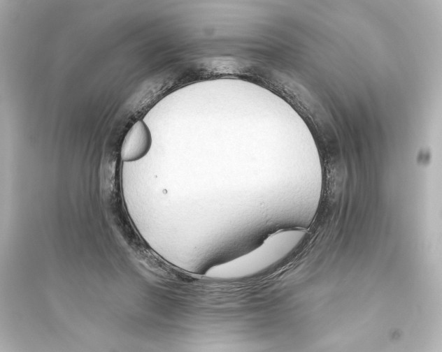 X0000093560406200711121019