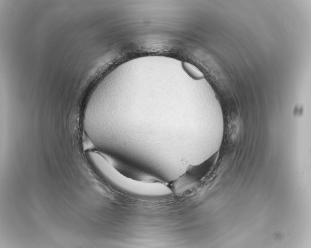 X0000093560407200711121019