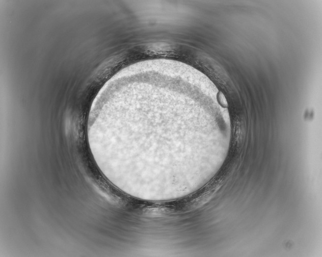X0000093560408200711121019