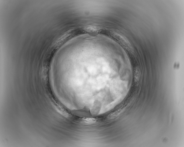 X0000093560409200711121019