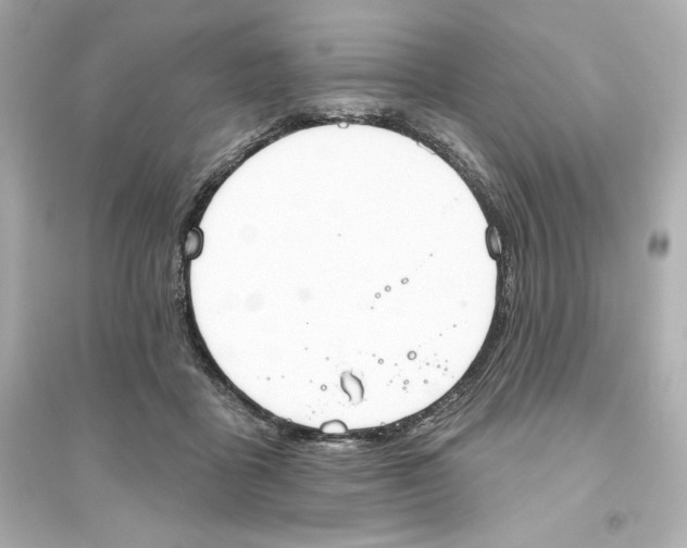 X0000093560411200711121019