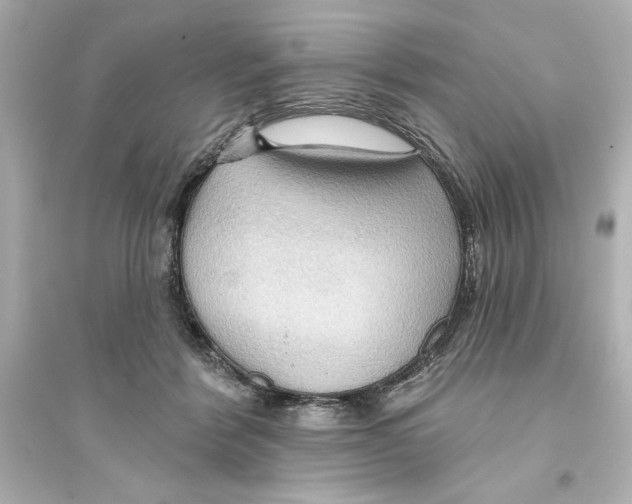 X0000093560412200711121019
