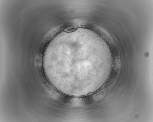 X0000093560413200711121019