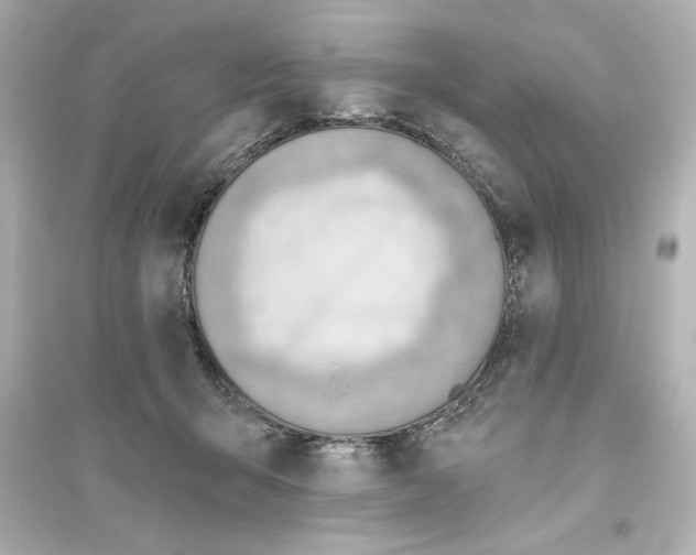 X0000093560415200711121019