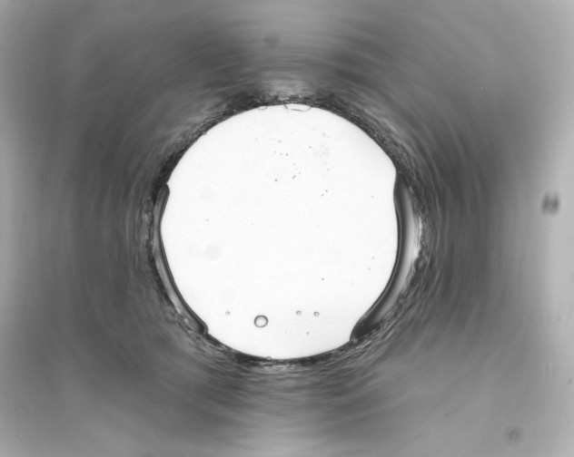 X0000093560417200711121018