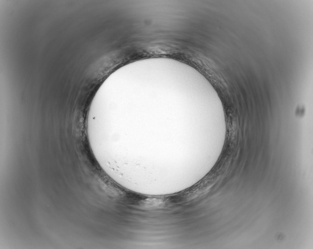X0000093560418200711121018