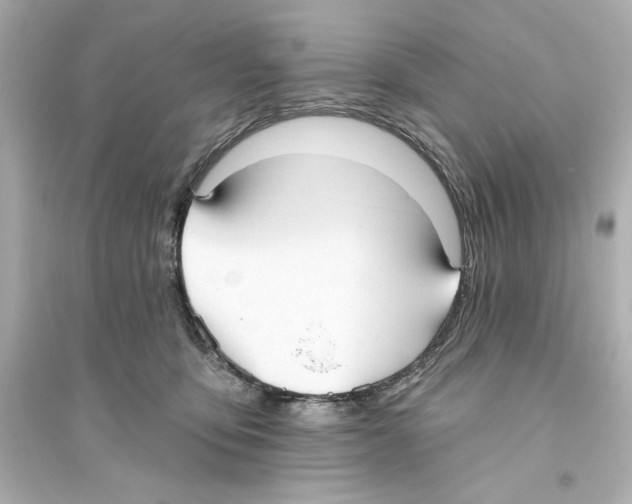 X0000093560419200711121018