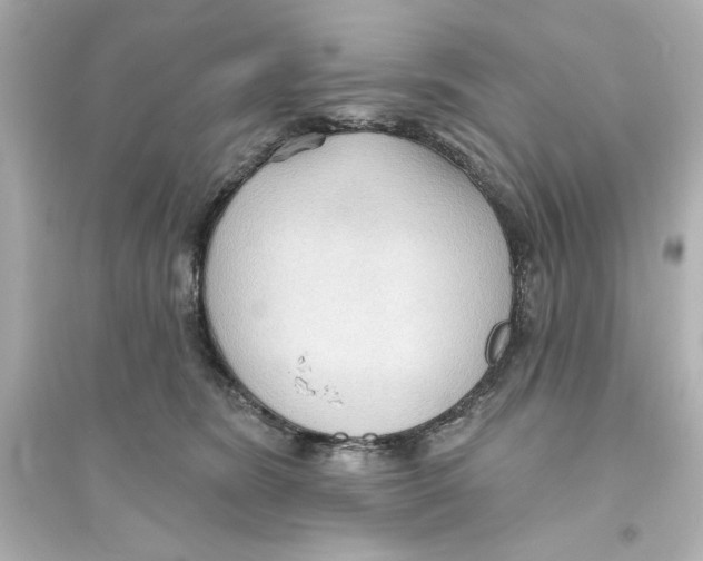 X0000093560420200711121018