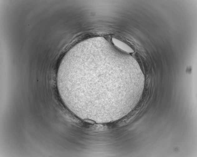 X0000093560421200711121018