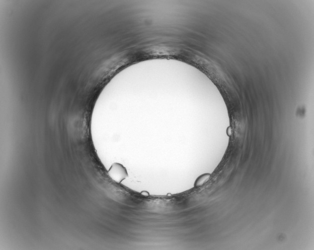 X0000093560422200711121018