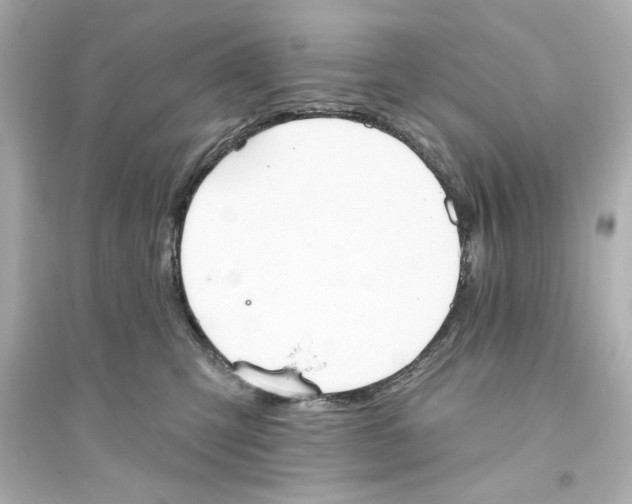 X0000093560423200711121018