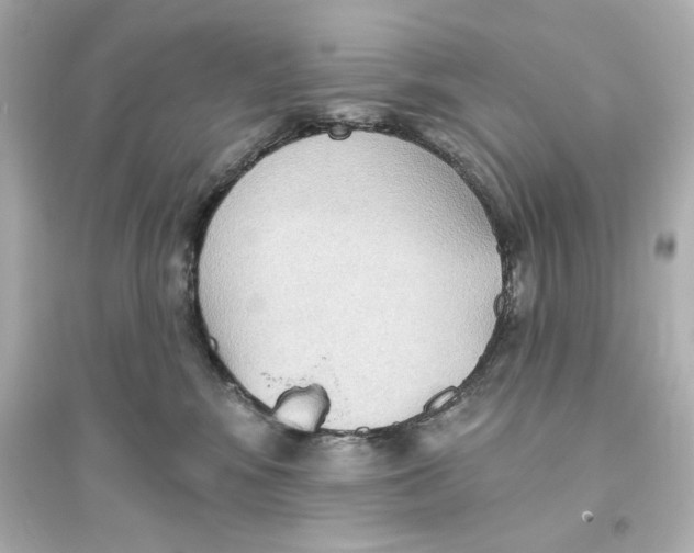 X0000093560424200711121018
