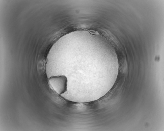X0000093560425200711121018