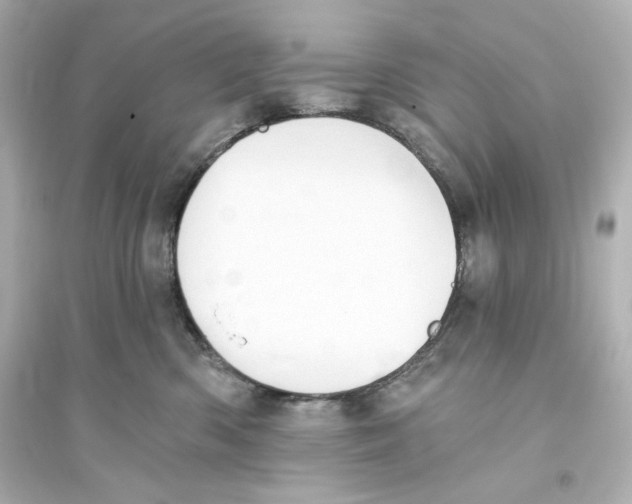 X0000093560426200711121018