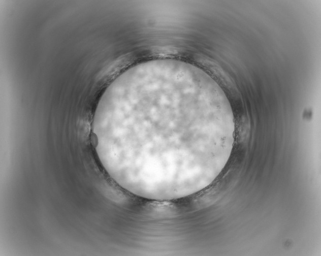 X0000093560427200711121018