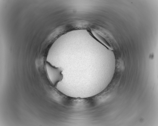 X0000093560428200711121018