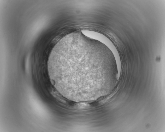 X0000093560429200711121018