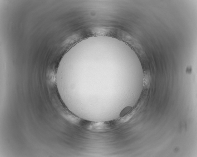X0000093560431200711121018