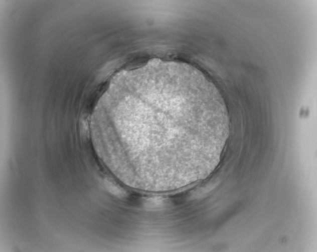 X0000093560432200711121018