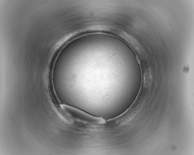 X0000093560436200711121017