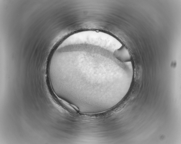 X0000093560438200711121018