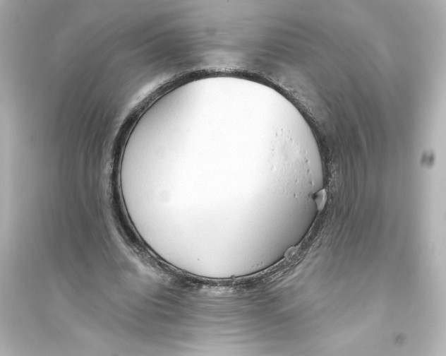 X0000093560440200711121018