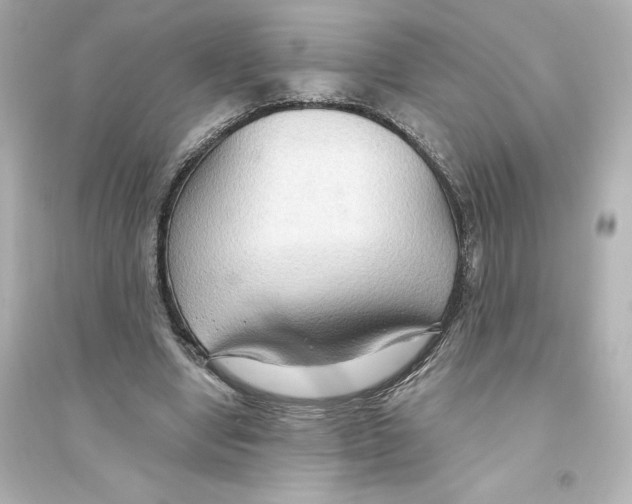 X0000093560442200711121018