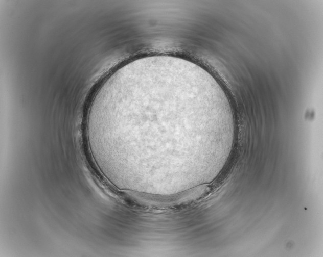 X0000093560443200711121018