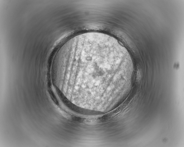 X0000093560444200711121018