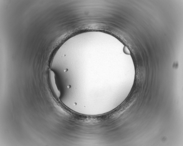 X0000093560445200711121018