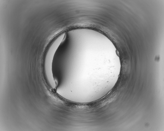 X0000093560446200711121018