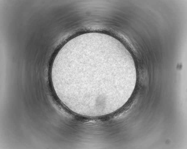 X0000093560447200711121018