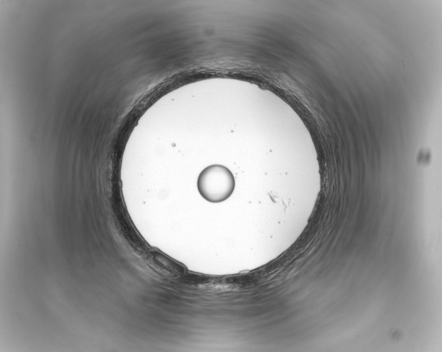 X0000093560448200711121018