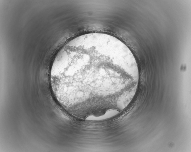 X0000093560449200711121018
