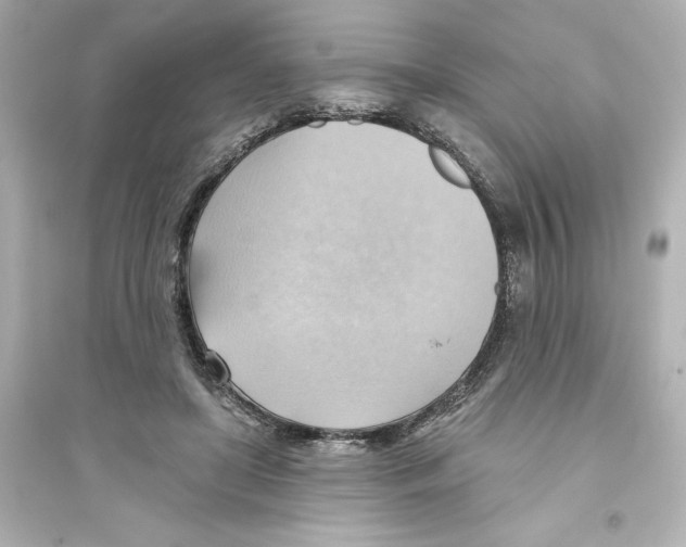 X0000093560451200711121018