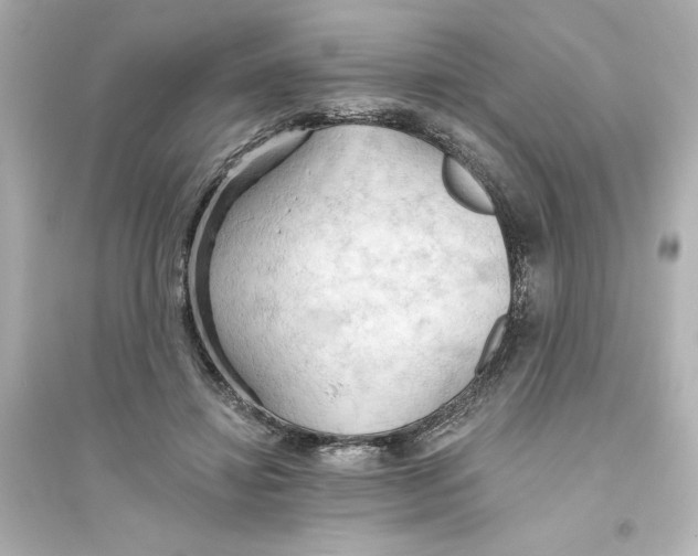 X0000093560452200711121018