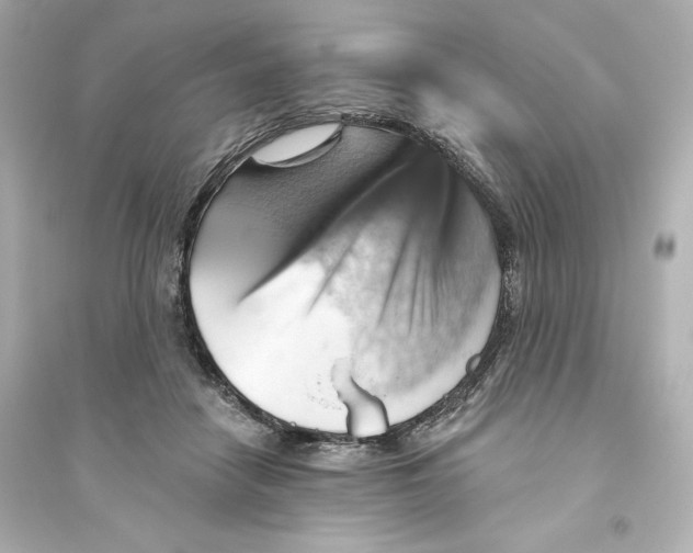 X0000093560458200711121018