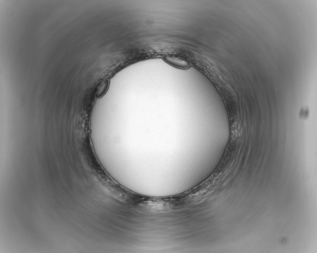 X0000093560464200711121018