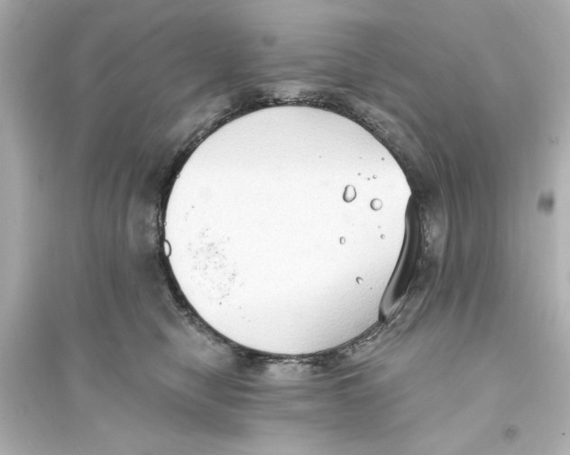 X0000093560470200711121018