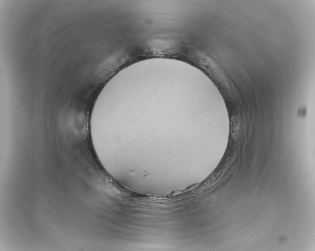 X0000093560471200711121018
