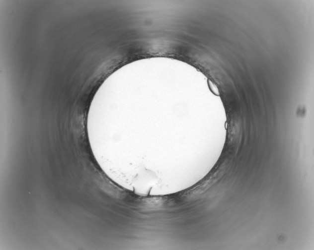 X0000093560473200711121018