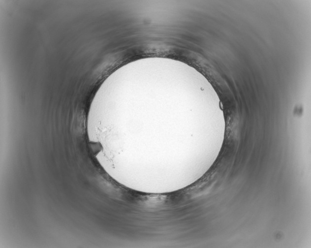 X0000093560474200711121018
