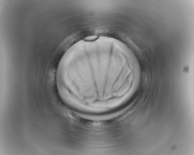 X0000093560475200711121018