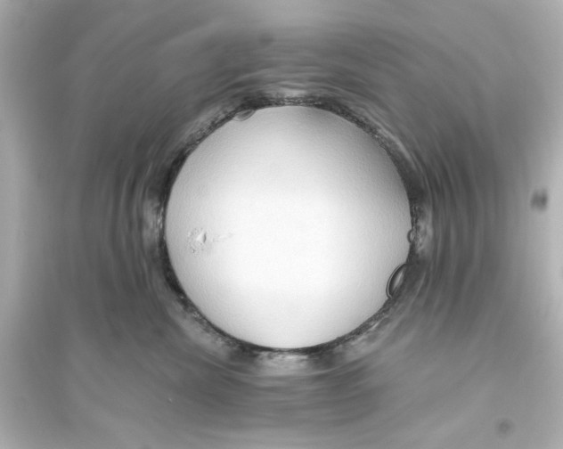X0000093560476200711121018